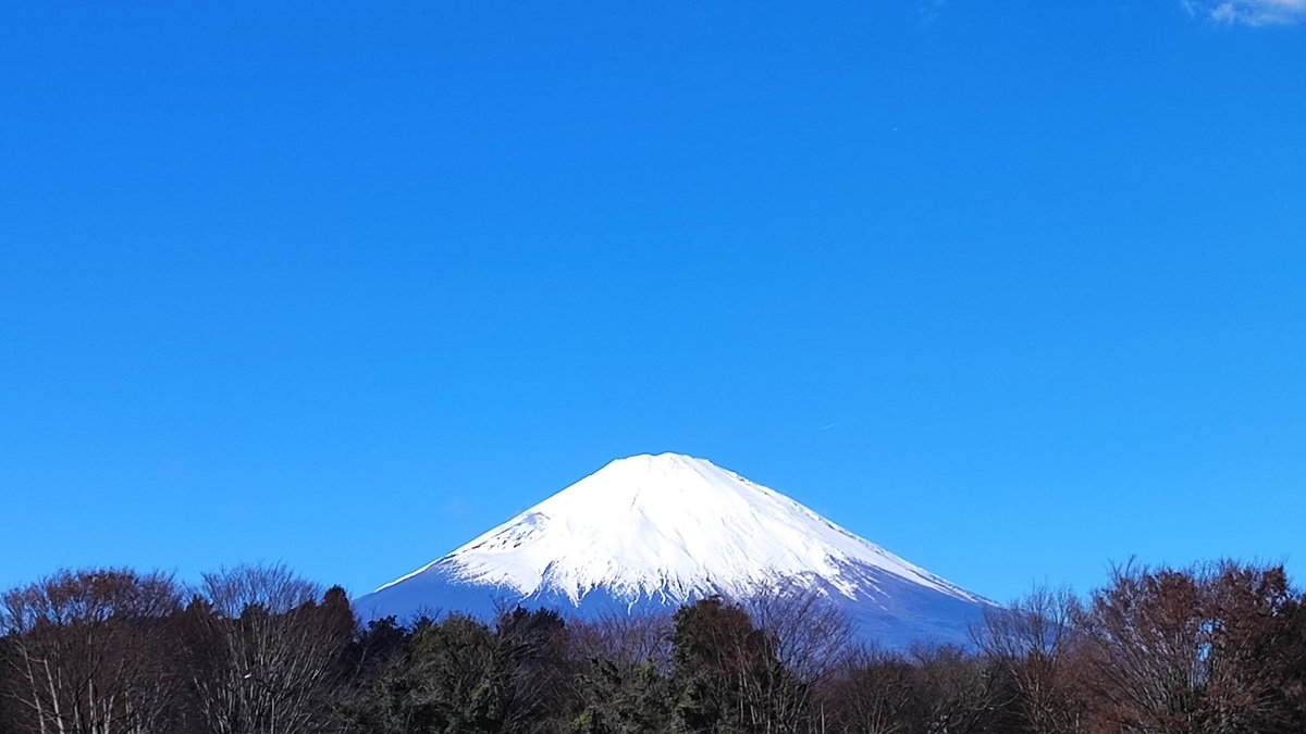 Shiki_M___'s tweet image. All the best for the coming year 🗻