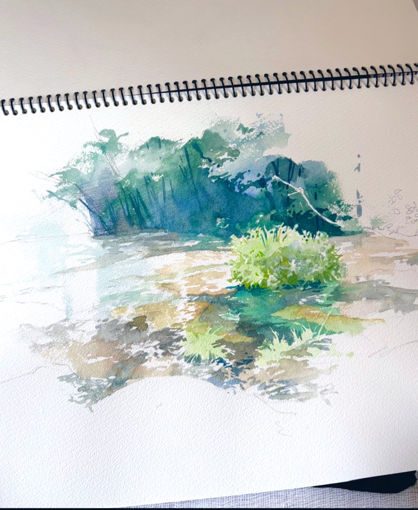 今年も色々描けて楽しかったです。　
来年もよろしくお願いします \🌷/