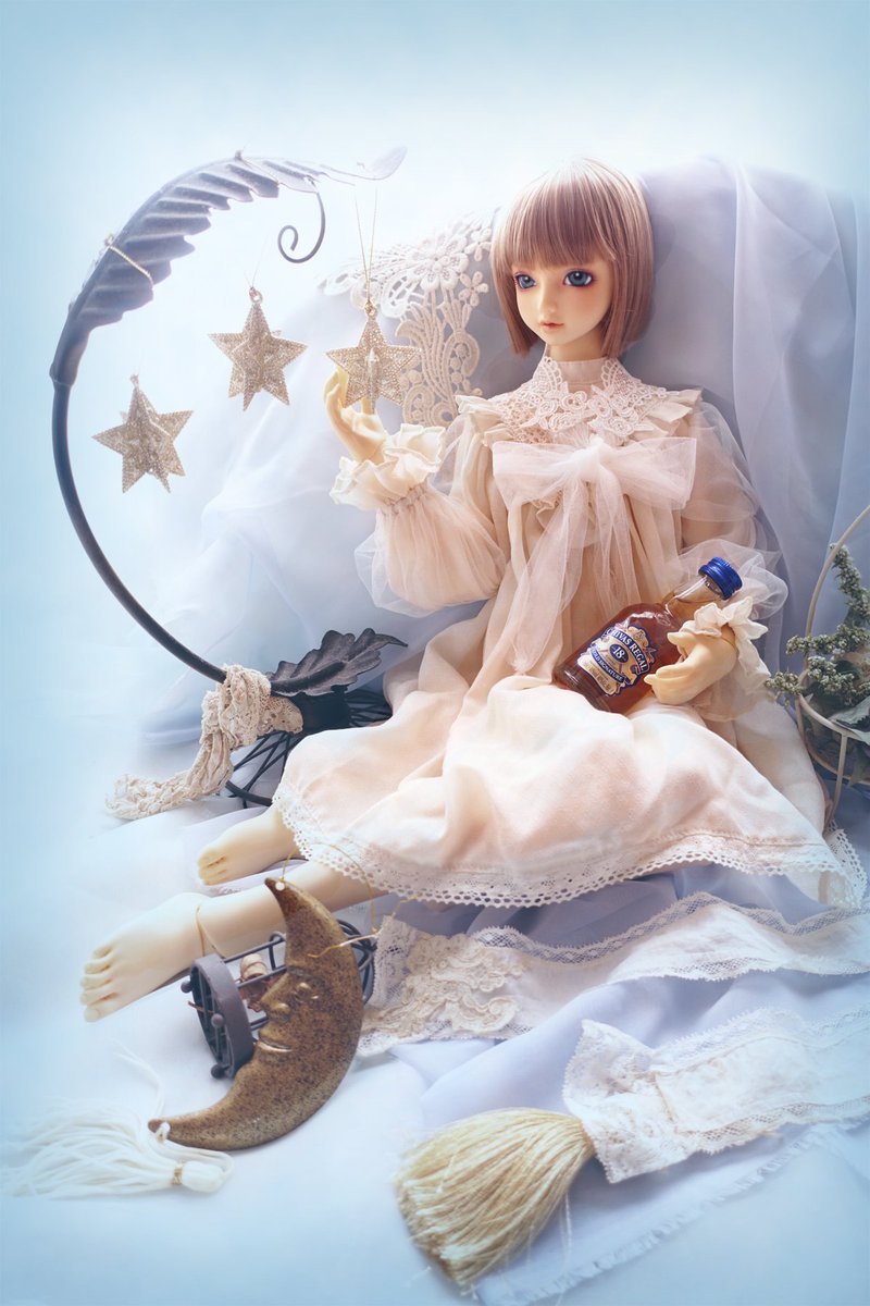 #2025年自分が選ぶ今年の4枚
#スーパードルフィー　
#うちのこかわいい