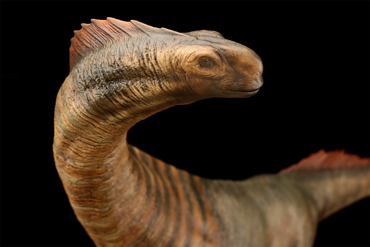 BIGNICK (@BIGNICK688882) / Posts / X