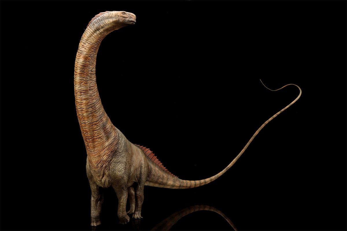 BIGNICK (@BIGNICK688882) / Posts / X