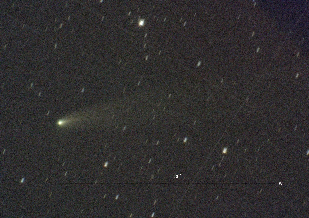kumagayakimura's tweet image. 今年の彗星４選☄

C/2024 G3(ATLAS)  新年そうそう現れ 昼間も見えた明るい彗星　グアム島に遠征して撮影
3I(ATLAS)　太陽系外からやってきた2つ目の彗星
C/2025 A6( Lemmon )　朝夕に見え尾の変化が美しかった
C/2025 K1 ( ATLAS )　核の分裂を頻繁におこす面白い彗星
#cometcollection