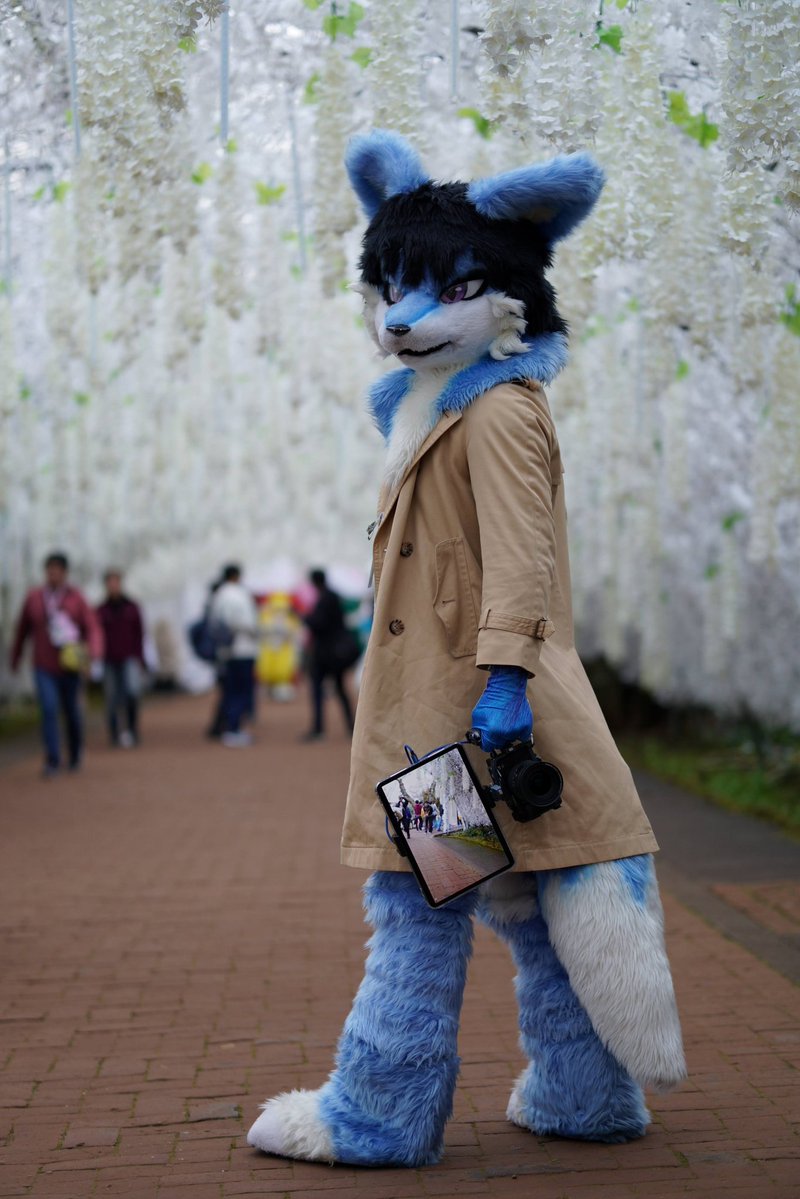 2025年自分が選ぶ今年の4枚 うちのこのやつ！