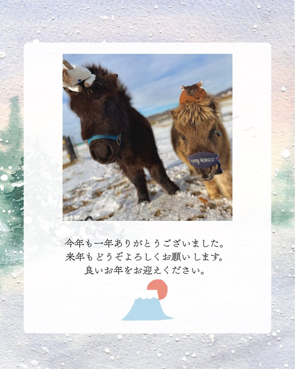 今年も投稿を見てくださり、ありがとうございました?‍♀️ 毎日のよう 