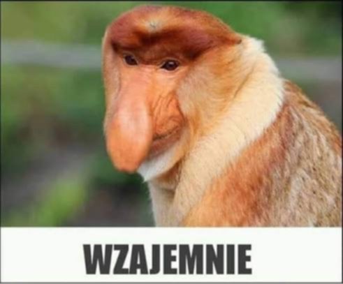 szto tweet media