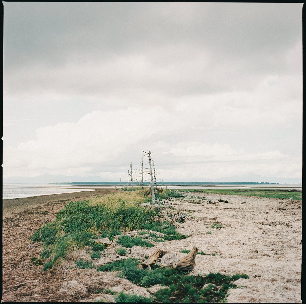 Dec.31
#Hasselblad500CM