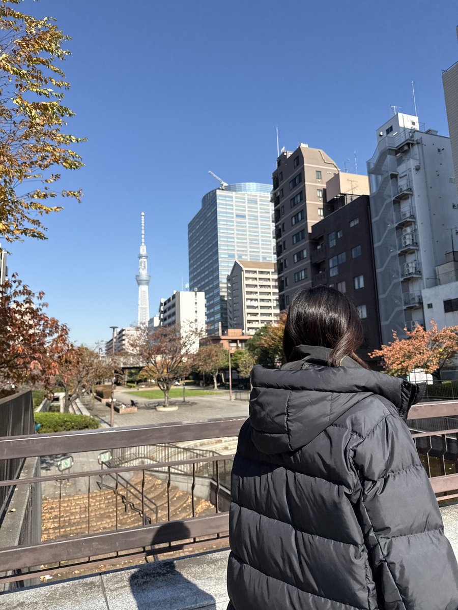 nanase_andstaff's tweet photo. こんにちは🌞

おかげさまで、今年も色々なお仕事をさせていただきました。本当にありがとうございました🐍

いつも応援してくださる皆さま、ならびに関係者の皆さま、今年もありがとうございました！

そして、2026年も引き続きよろしくお願いいたします🐎✨

みなさま、良いお年を！

#西野七瀬 https://t.co/78PnSak37E