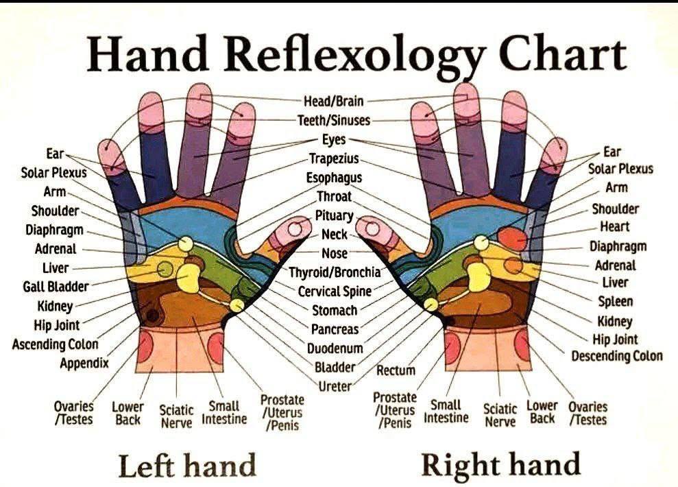 vegastarr's tweet image. Your hands are not just hands. ✋
They’re a living map of your body.
Ancient knowledge, hidden in plain sight. 🧠⚡️