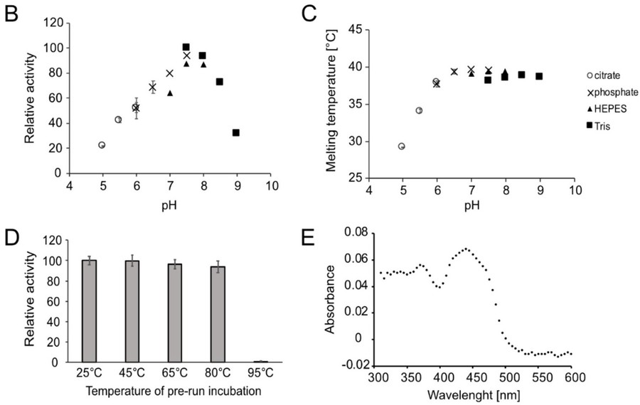 Accurate enzyme function starts with precise data! Creative Enzymes’ Enzyme Activity Measurement service delivers reliable, sensitive activity &amp; kinetic profiling across enzyme classes — supporting research, drug discovery &amp; industrial needs. #Enzymology creative-enzymes.com/service/enzyme…