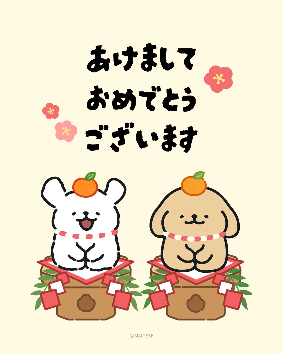 今年もよろしくお願いします🐴🤍🤎