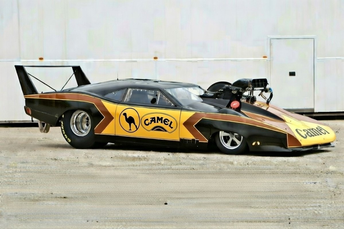 John the Wolfking of L.A tweet media