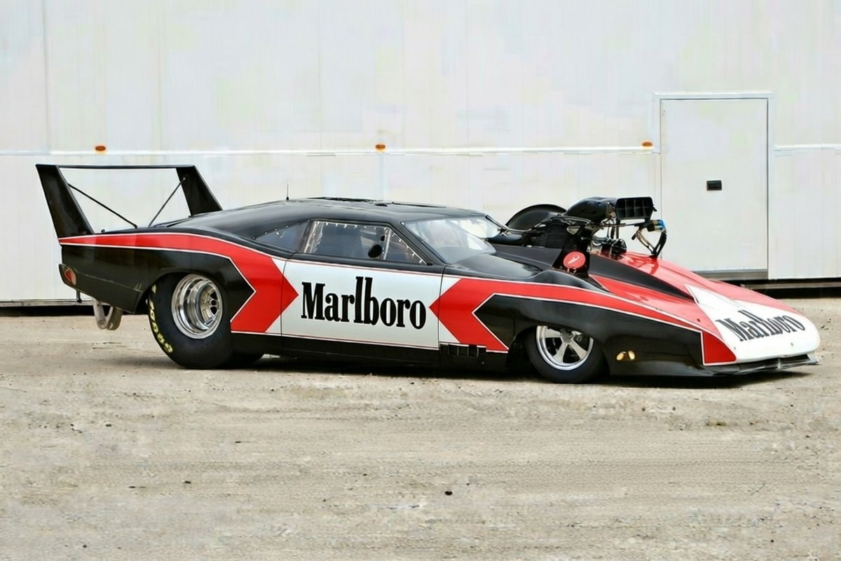 John the Wolfking of L.A tweet media