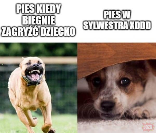 Dyszka tweet media