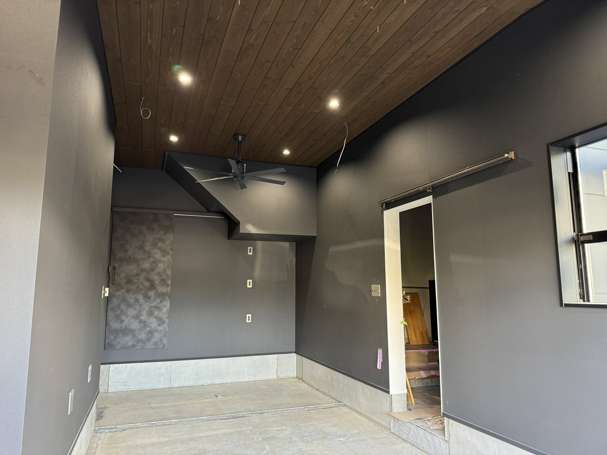 １年でここまでなるんだから
アクアリウムって沼よな😇