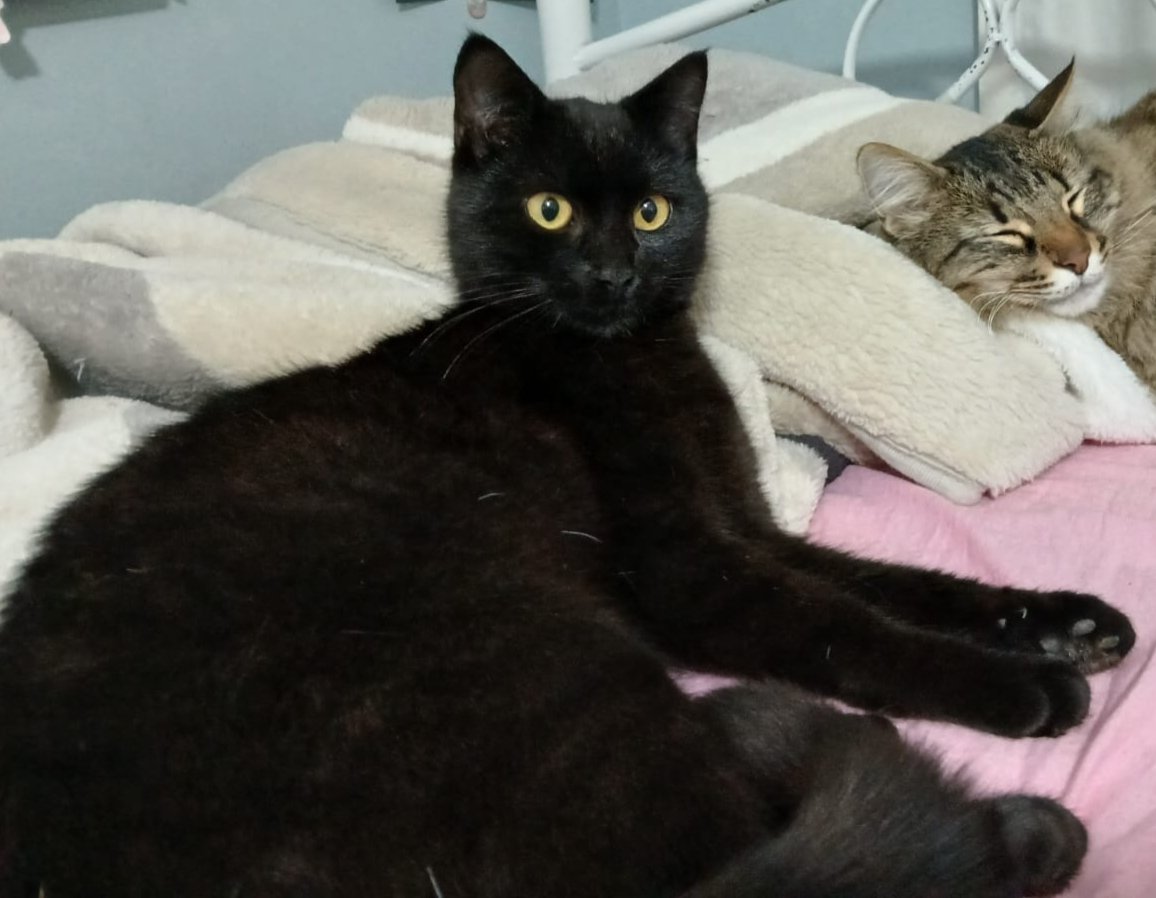 Birileri 2026 ya söylesin; 2025 gibi olacaksan gelme kardeşim.
#HappyNewYear2026
#MutluYıllar