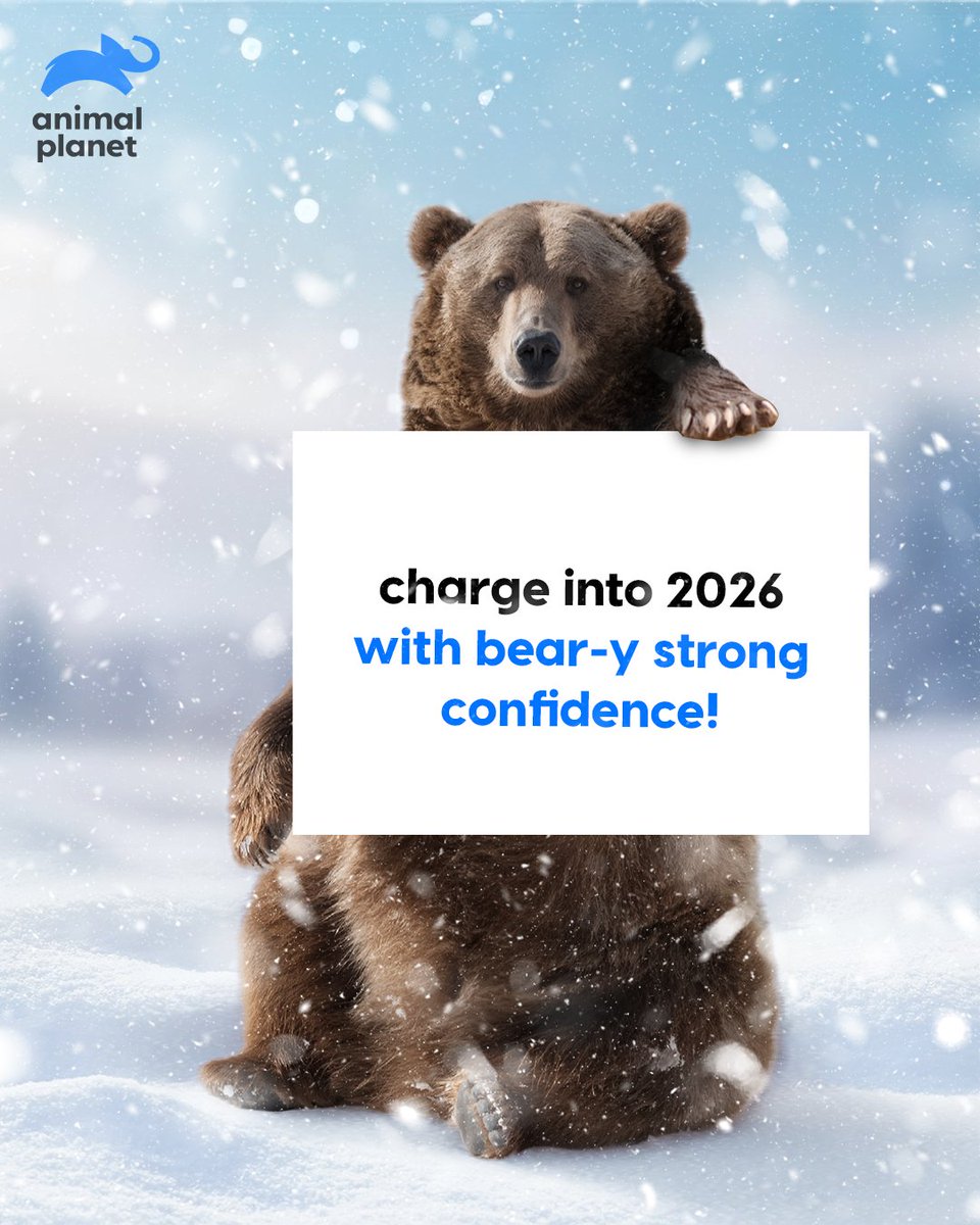 Animal Planet India tweet media