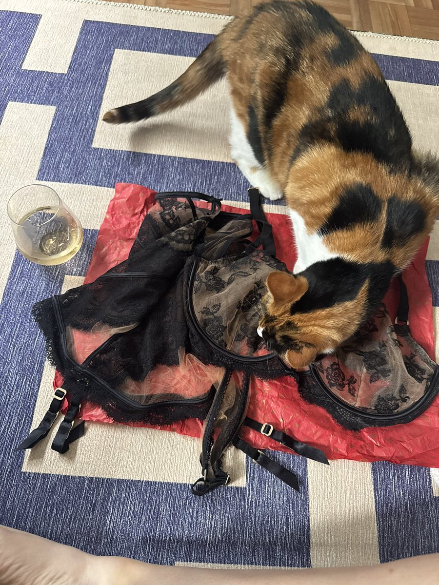 Renee Ryan tweet media