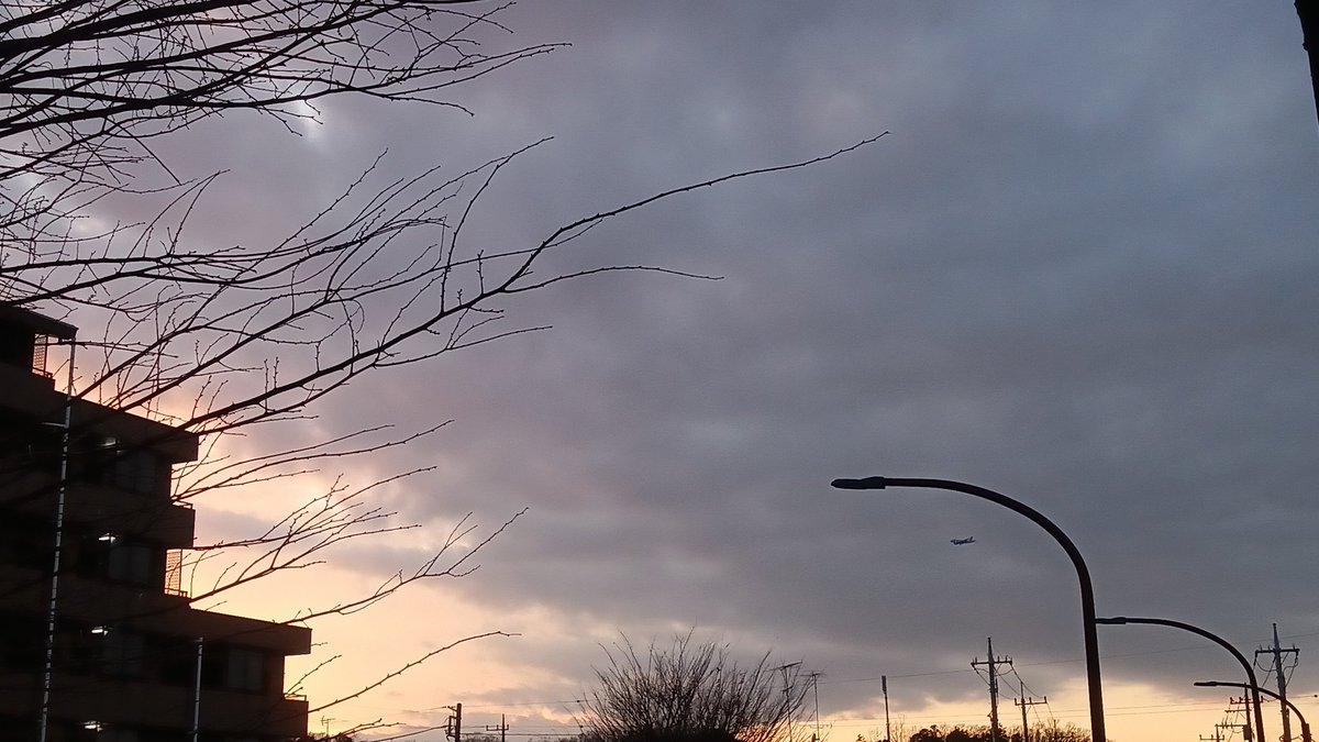 2025年 最後の夕景🌆

今年も色々頑張りました🍀

たくさんの音にも触れられたし、
たくさんの人にも出会いました☺️

来年も良い年でありますように🙏✨