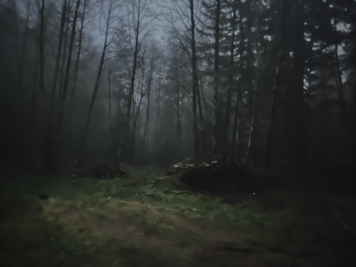 BeebZone's tweet image. Me and the Spider.