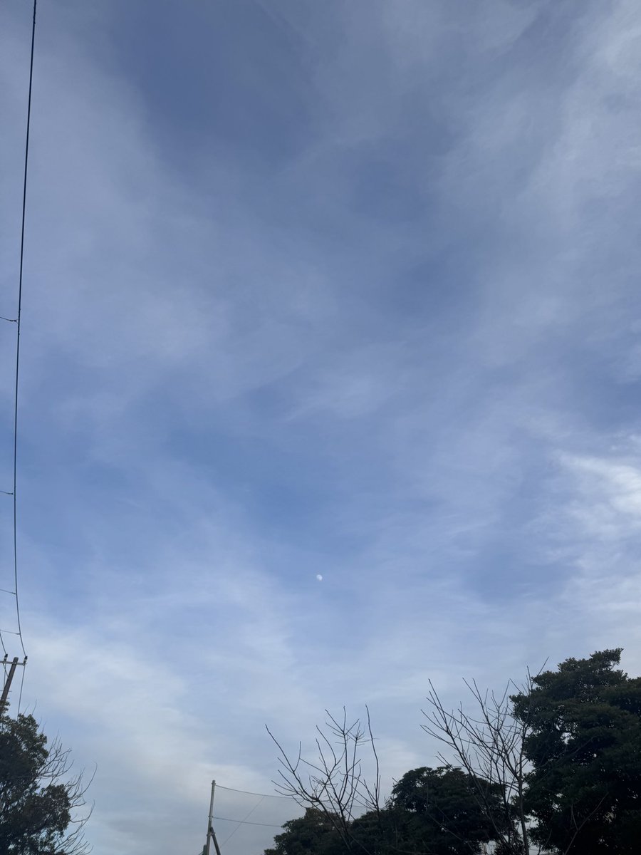 松本 真央 tweet media