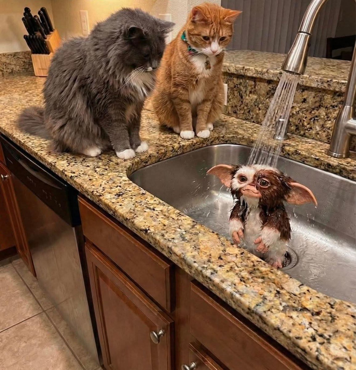 2026 en cours de préparation....
B'jour...