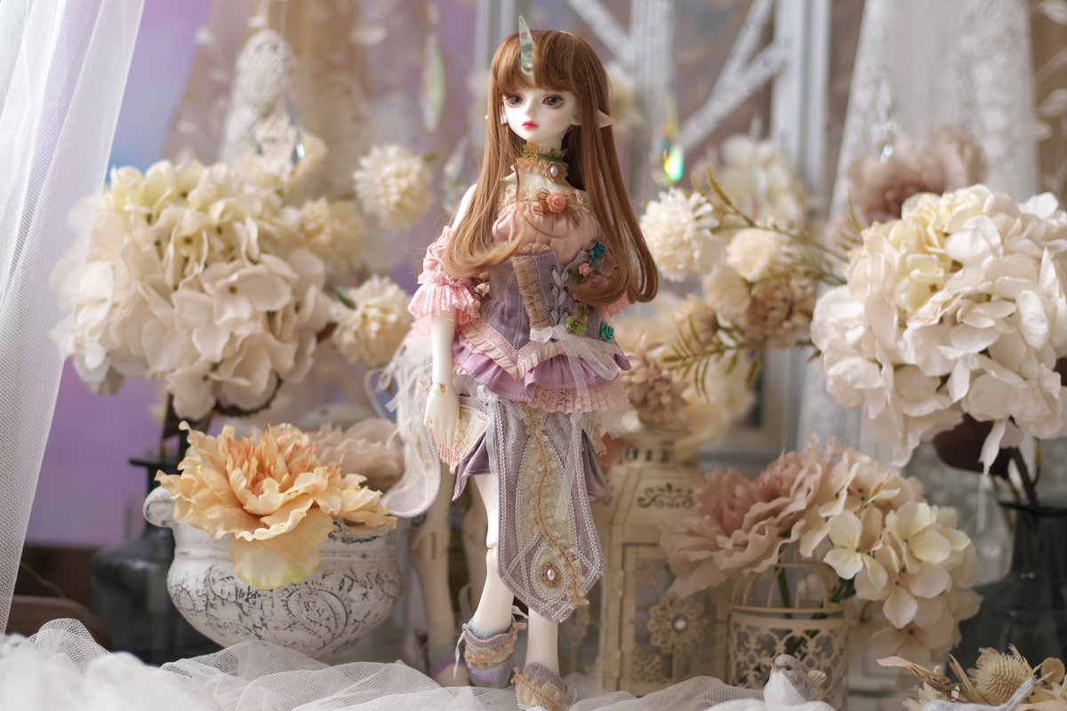 #2025年自分が選ぶ今年の4枚 

このへんかな？今年も楽しんだねぇ☺️