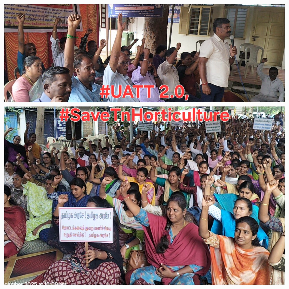 TANHOWA tweet media