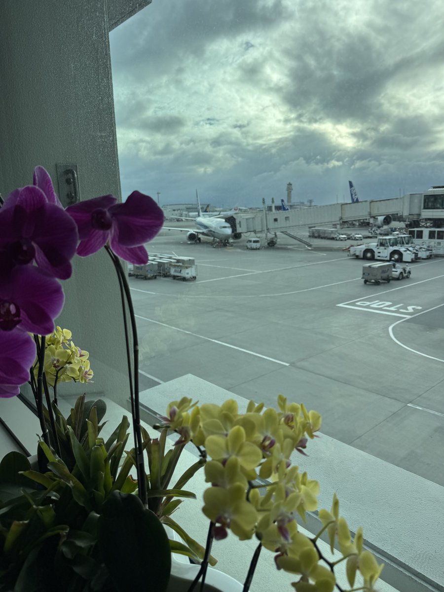 沖縄着きました✈️