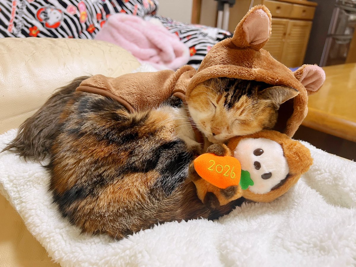 うめちゃん様の専用でございます。 喪中につき新年の挨拶は控えさていただきます 皆様良いお年をお迎え