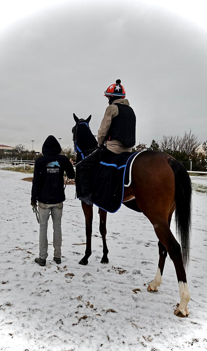 Byerley Racing Türkiye tweet media