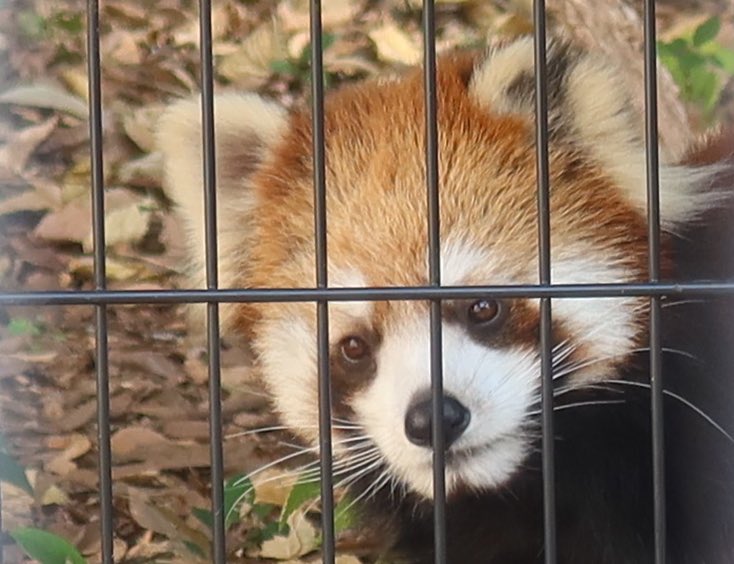 2025年もお世話になりました！
みなさま良いお年を✨️
来年も、｢えみ｣を連呼しまくる私をよろしくお願いいたします🙇‍♀️