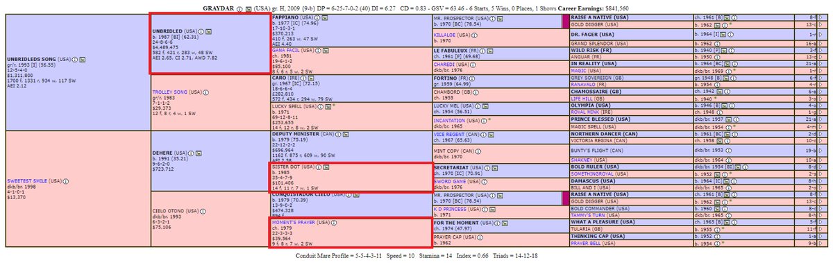 Kısrağımız AFBRI ile aşım uygulayacak aygır EL CONQUERADOR 'ün eşleşmesi ile oluşan pedigriye, çok benzer pedigriler bulunmaktadır.. Bunlardan bazıları; Ülkemizde önemli başarılara imza atan Dagmar ve Amerika 'da Grup 1 galibiyetli aygır Grayder.. <a href="/AktasEkurisi/">AKTAŞ EKÜRİSİ</a> <a href="/murataktas4444/">Murat Aktaş</a>