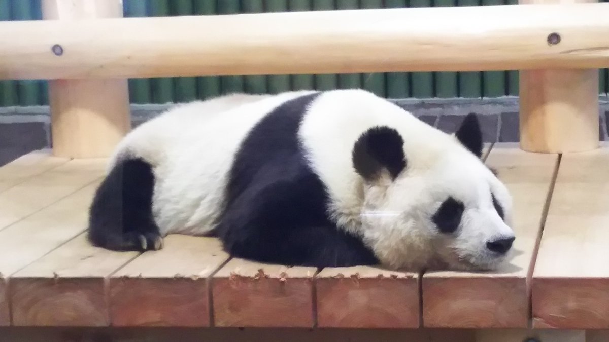 ∠chan000 (@chan000) / Posts / X