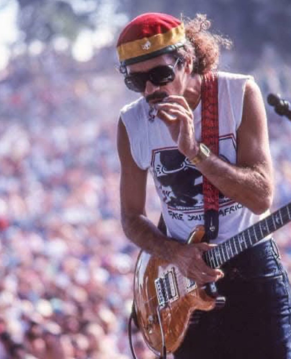 The Doctor tweet media