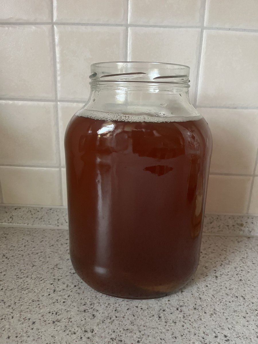 Habe heute mal meinen eigenen Kombucha angesetzt, mal schauen, was draus wird. In 10 Tagen sollte dann die 1. Fermentation durch sein. Bin gespannt.