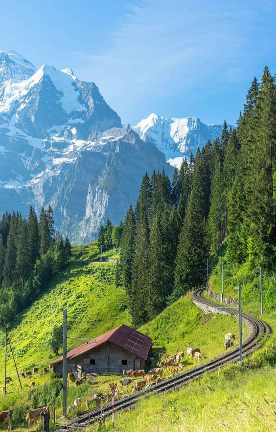 Switzerland 🇨🇭