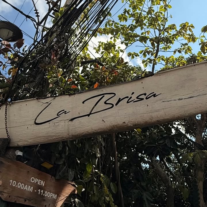 🐕🦺 tweet media