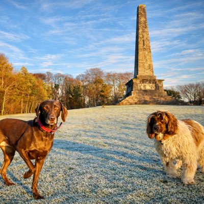 MuddyandMiley's tweet photo. #NewProfilePic https://t.co/7F6A6ygmgB
