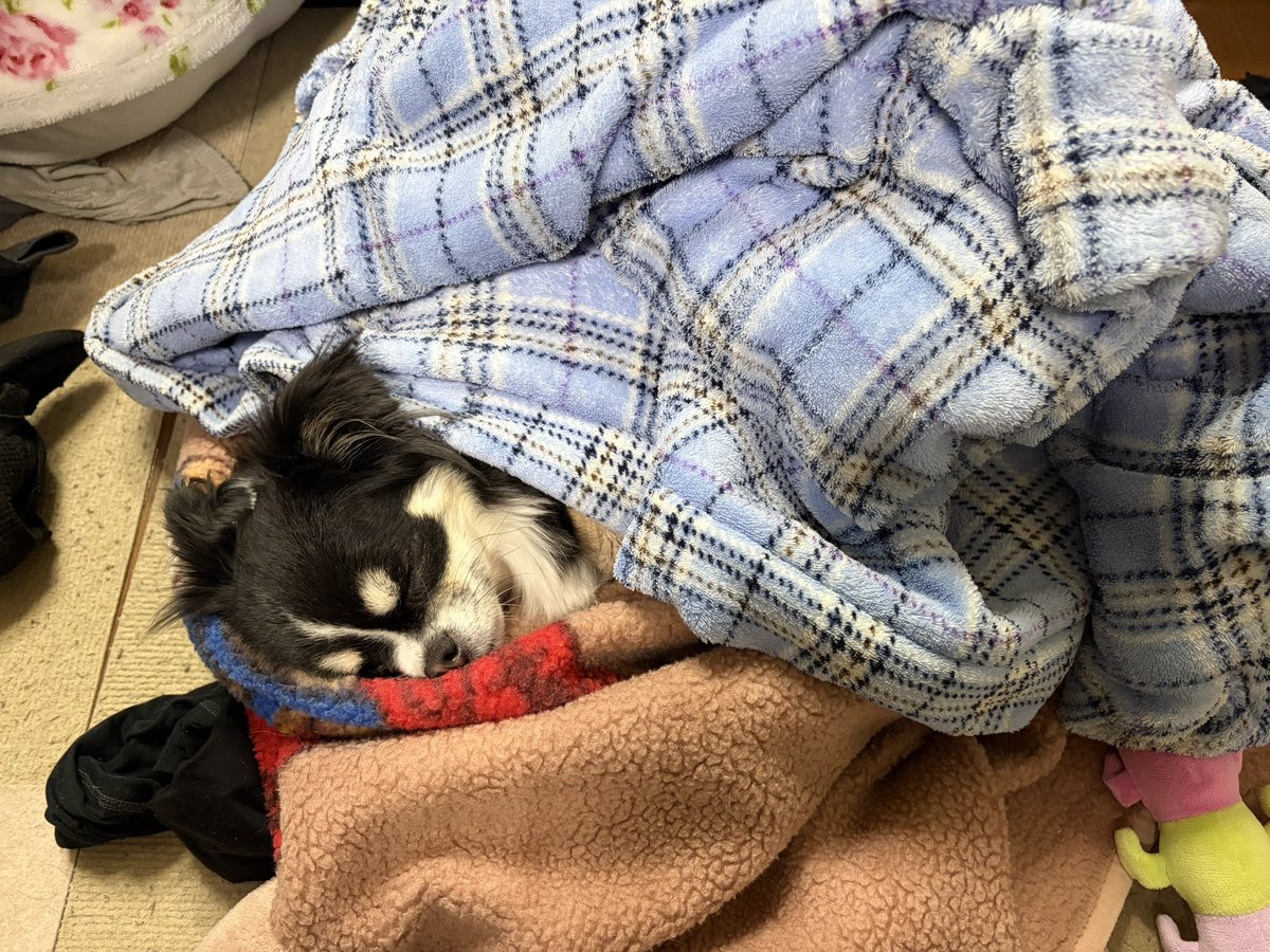 埋もれててびびった