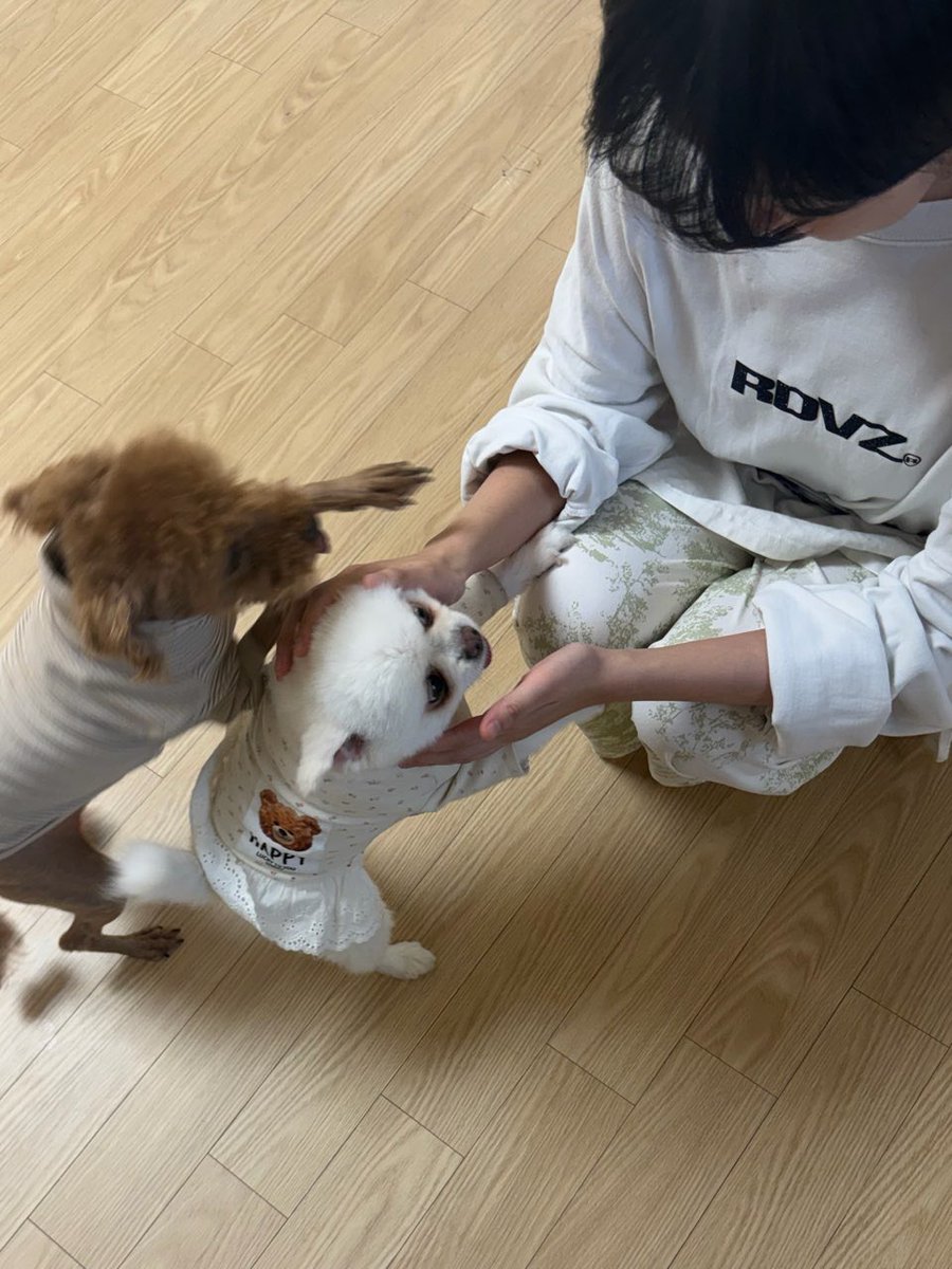 Eternal_JOYURI's tweet image. 유리랑 예나 언니

#조유리 #JOYURI #チョユリ #曺柔理