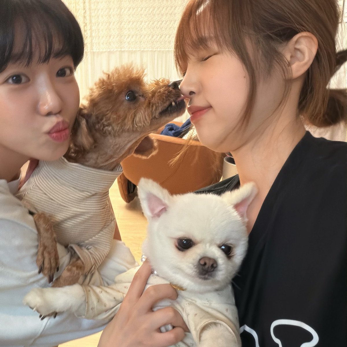 Eternal_JOYURI's tweet image. 유리랑 예나 언니

#조유리 #JOYURI #チョユリ #曺柔理