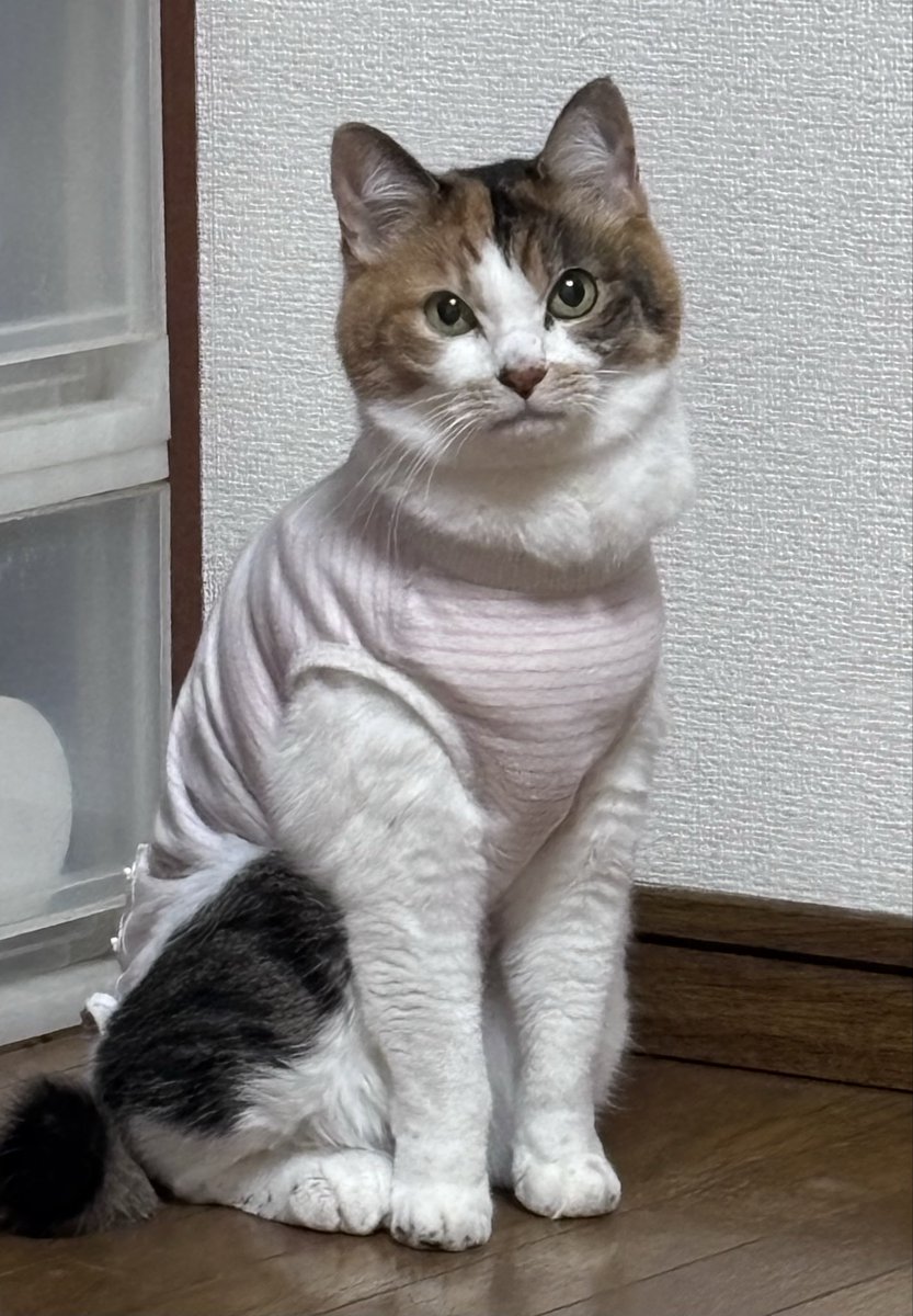 にこ¨̮⃝ zxi-ir-dg120-1.jpg