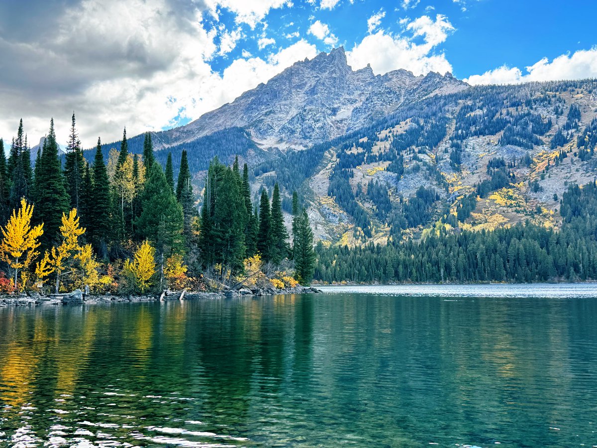 D Miller tweet media