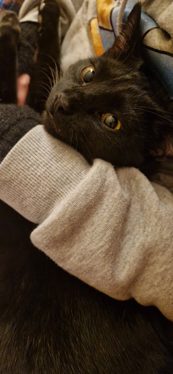 Moment câlin avec le Papouce.