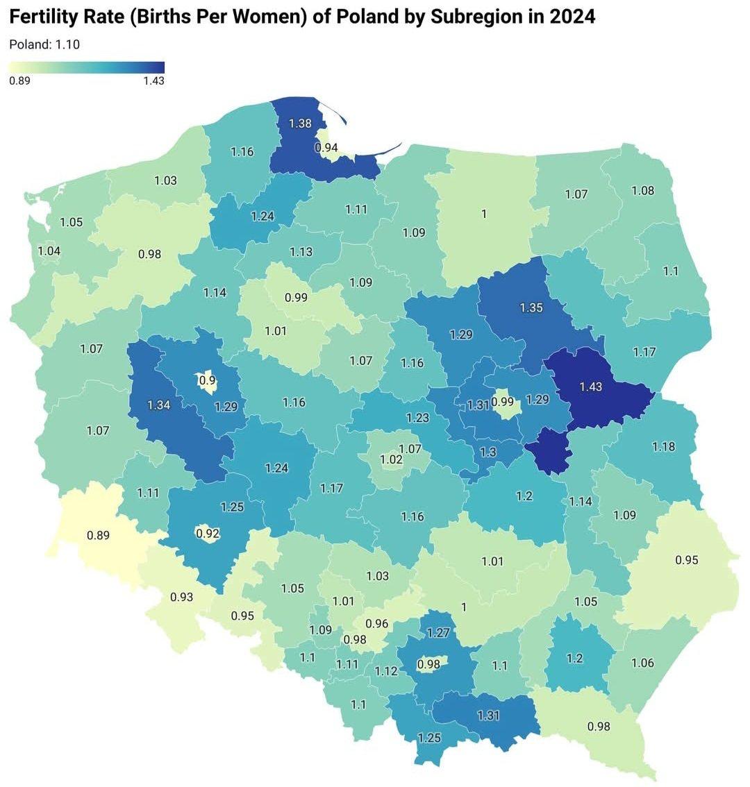 Jacek Hoga tweet media