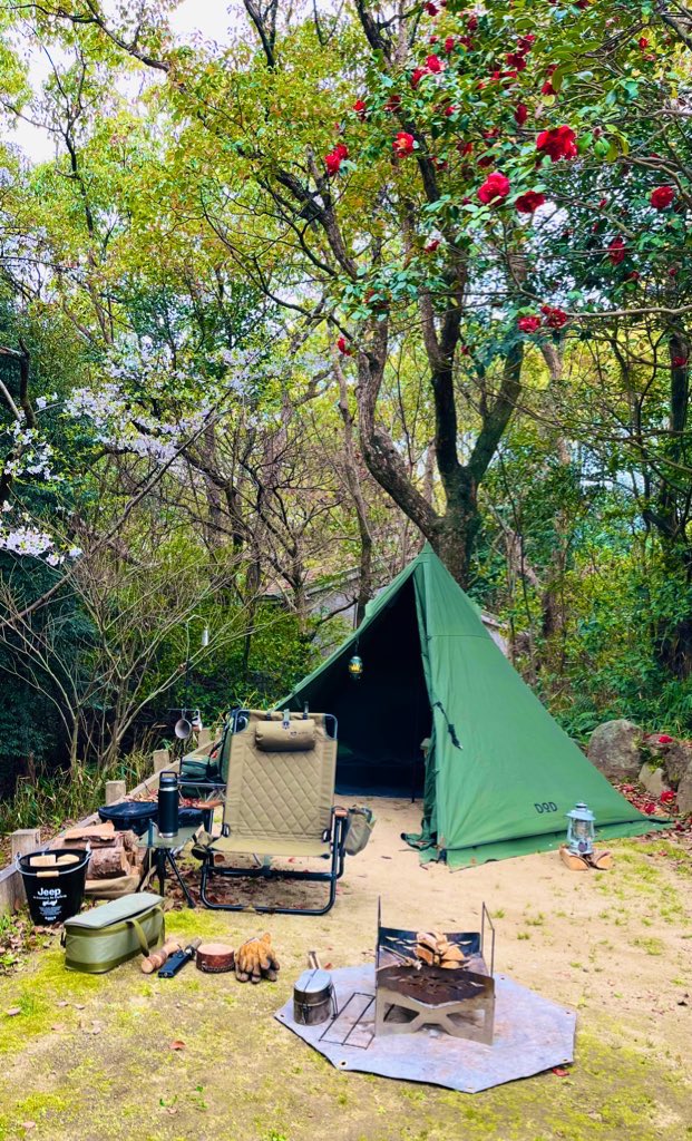 ryutancamp's tweet photo. #2025年のキャンプを写真4枚で振り返る
#本年もナイキャンでした
#新年もナイキャンします🏕️ https://t.co/mNZ94rJ2gR