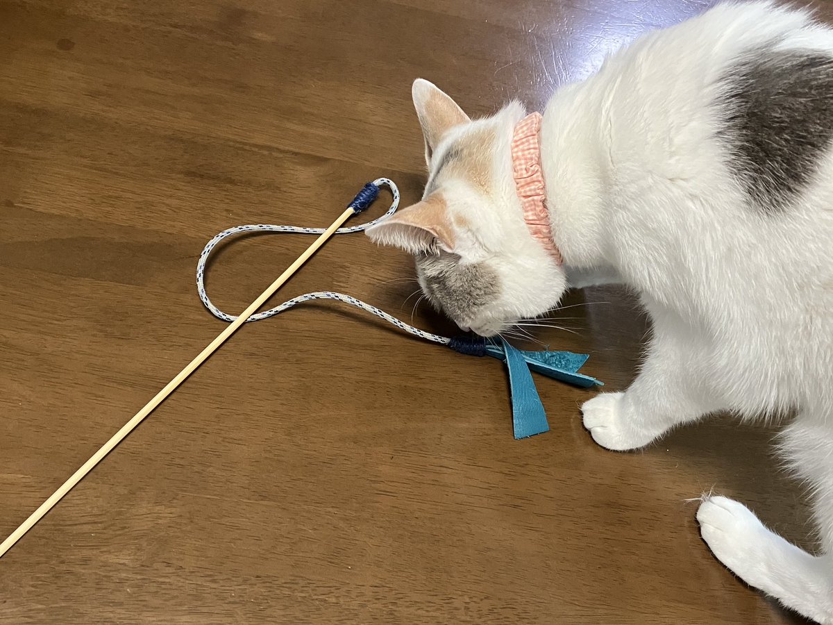 Masa8a (@Masa8a) / Posts / X