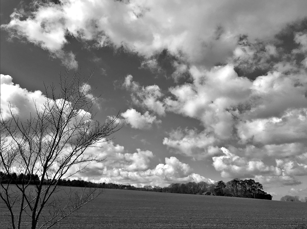 In Hookland, nephomancy – divination by cloud – is more commonly know as cloud-telling. For those who learn the art, the sky becomes a book of signs, a constant floating by of omens. To look up is read a thousand promises and warnings.