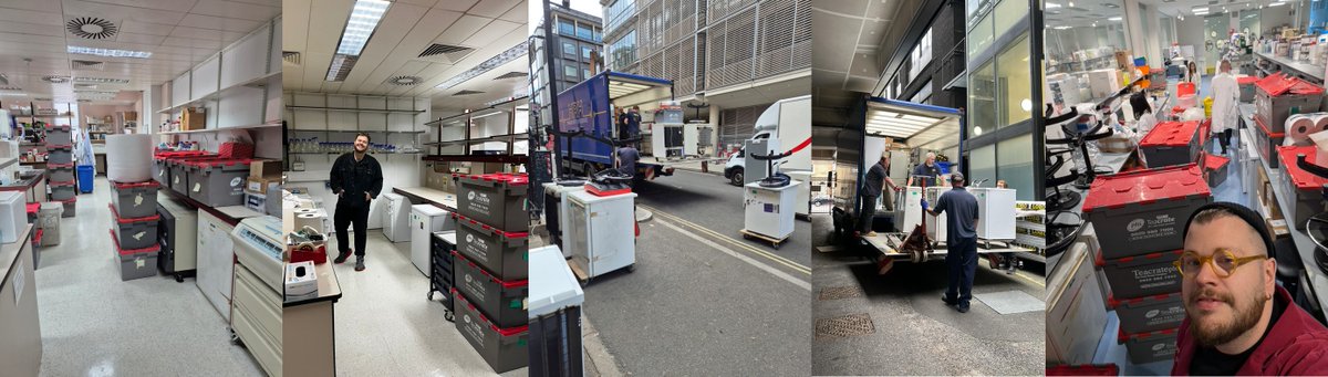 Jolly Lab tweet media