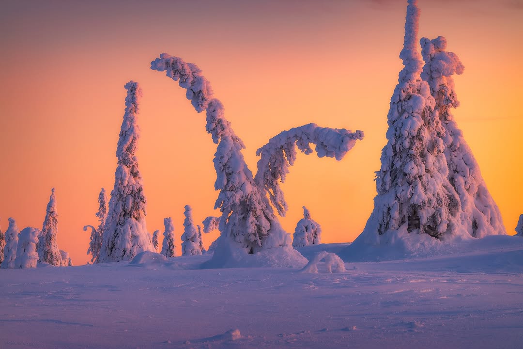 Discovering Finland tweet media